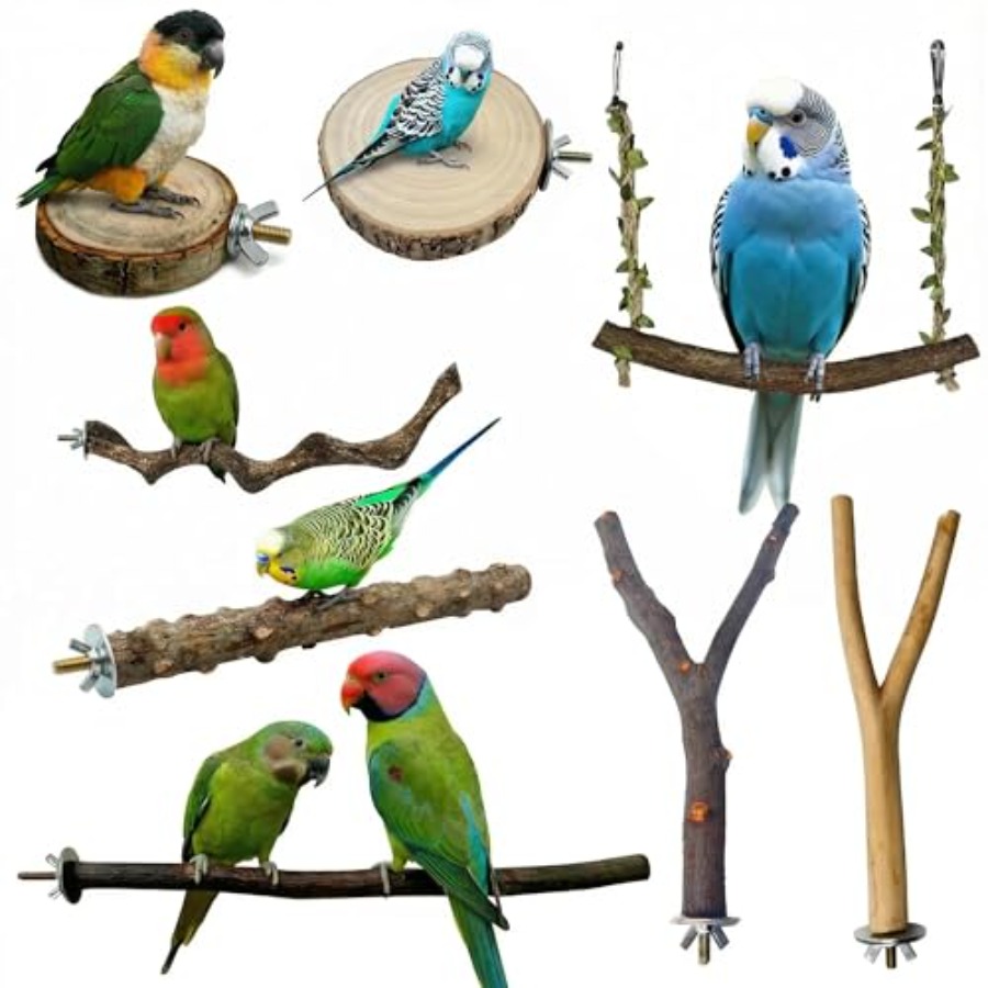 Health & Wellness Of Carmel - 8PCS natural wood bird perches for