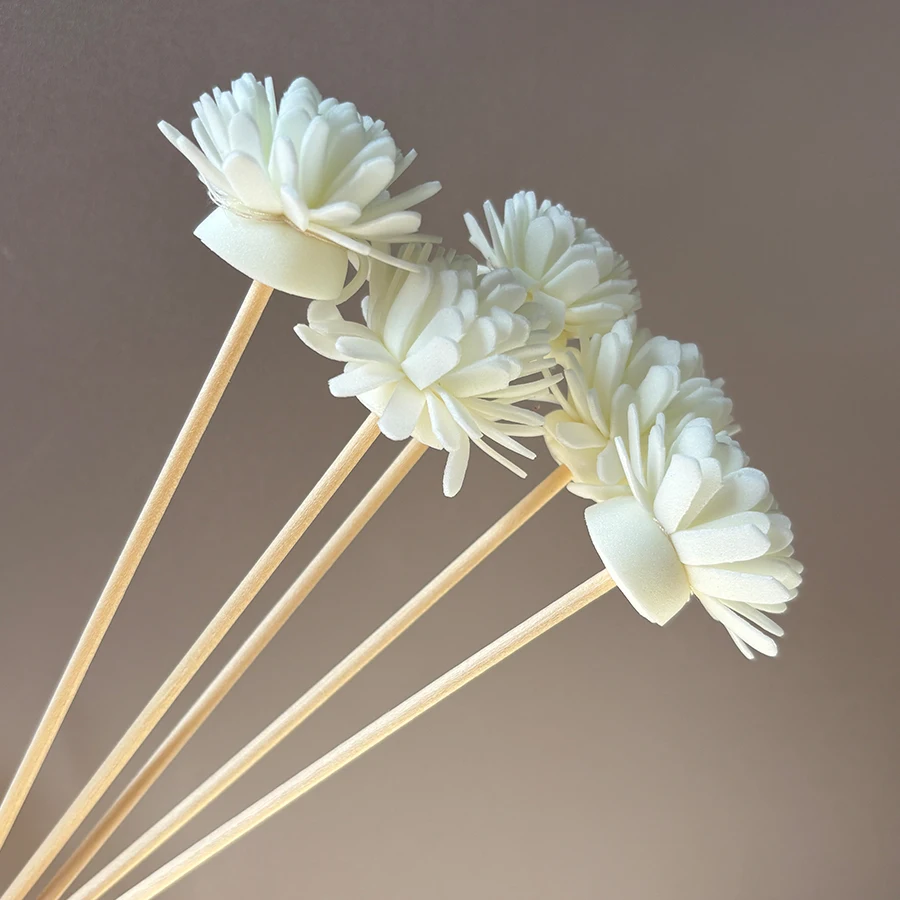 10pcs Aroma Diffusing Stick an - Aromatherapy Diffuser review and price