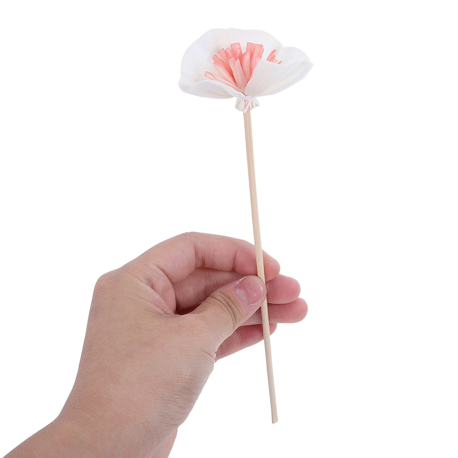 10Pcs Essential Oil Diffuser S - Aromatherapy Diffuser review and price