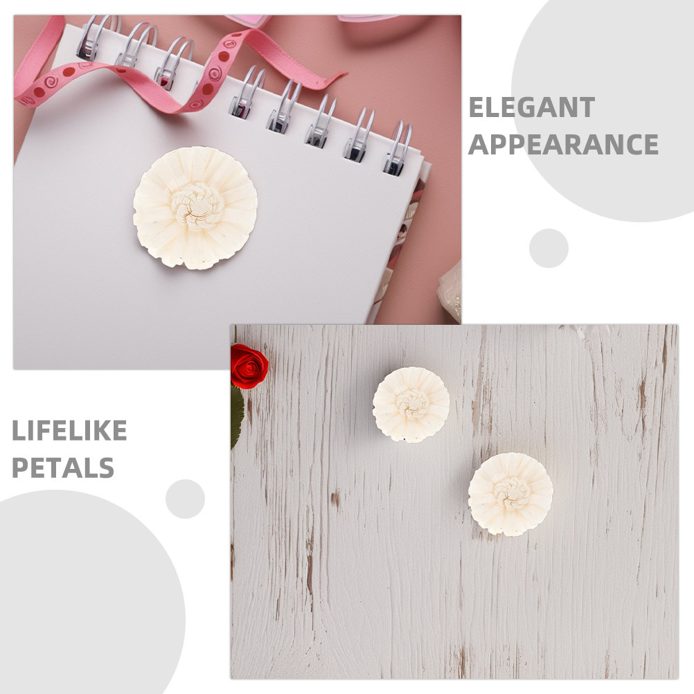 8Pcs Floral Diffuser Sola Chry - Aromatherapy Diffuser review and price