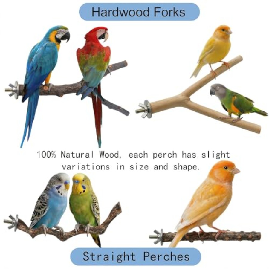 8PCS natural wood bird perches - Health & Wellness Of Carmel review and price